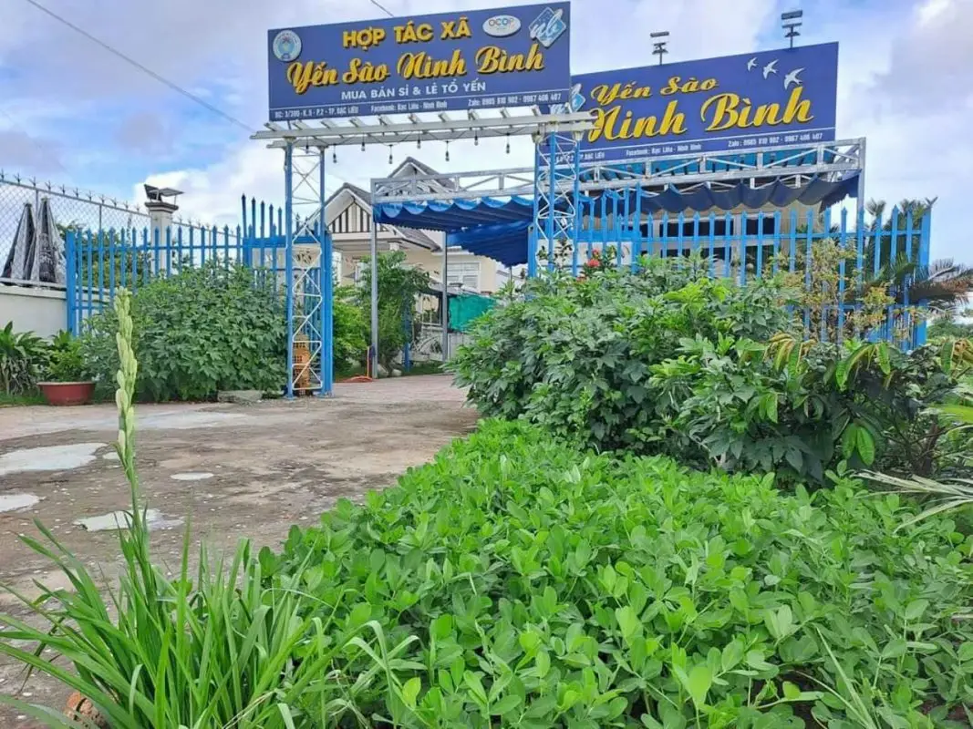 Yến Sào Ninh Bình